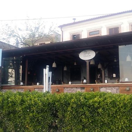 Aliye Hanim Hotel Ayvalik Bagian luar foto
