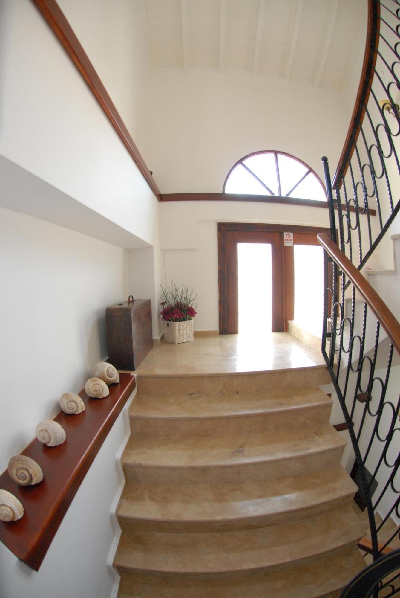Aliye Hanim Hotel Ayvalik Bagian luar foto