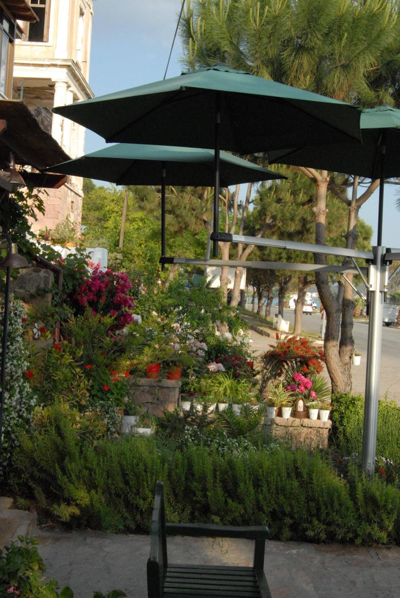 Aliye Hanim Hotel Ayvalik Bagian luar foto